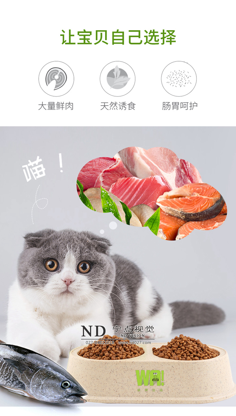 猫粮狗粮实景主图拍摄